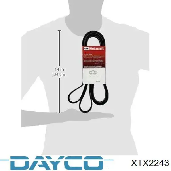 Correia de variador Dayco XTX2243 preço, a partir de 52,37 USD