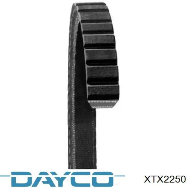 XTX2250 Dayco Correia de variador