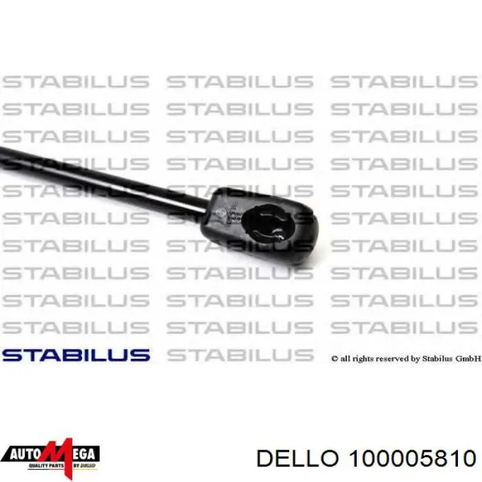Compre 100005810 Dello/Automega Amortecedor de tampa de porta-malas (de 3ª/5ª porta traseira)