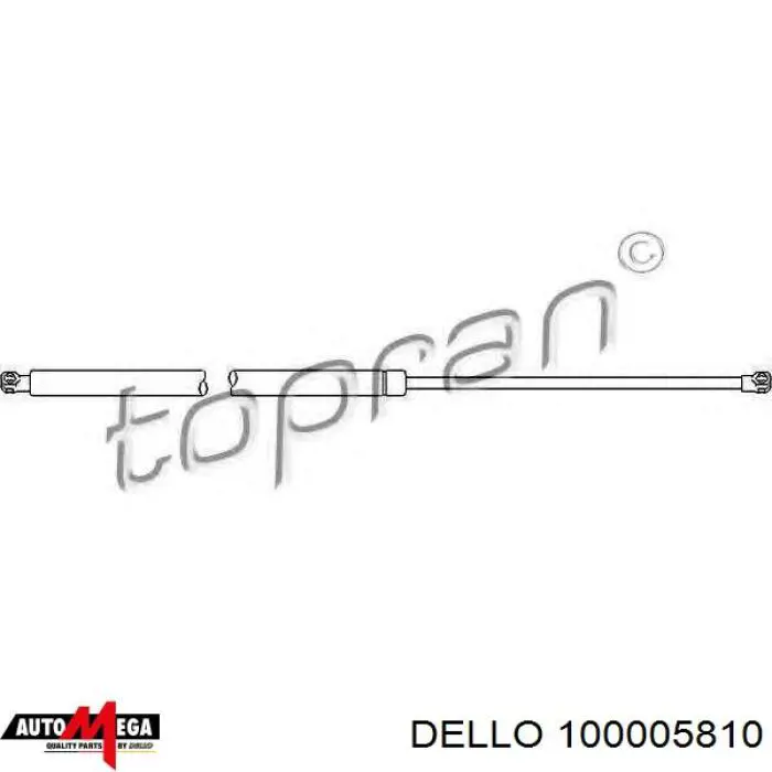 Amortecedor de tampa de porta-malas (de 3ª/5ª porta traseira) 100005810 Dello/Automega