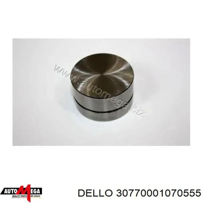 Compensador hidrâulico (empurrador hidrâulico), empurrador de válvulas 30770001070555 Dello/Automega