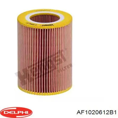 Compre AF1020612B1 Delphi Sensor de fluxo (consumo) de ar, medidor de consumo M.A.F. - (Mass Airflow)