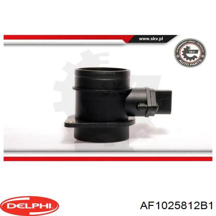 Compre AF1025812B1 Delphi Sensor de fluxo (consumo) de ar, medidor de consumo M.A.F. - (Mass Airflow)