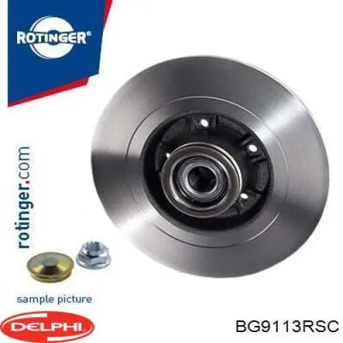 Compre BG9113RSC Delphi Disco do freio traseiro