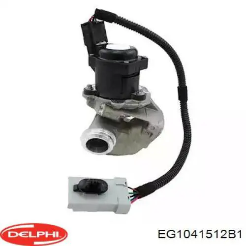 Compre EG1041512B1 Delphi Válvula EGR de recirculação dos gases