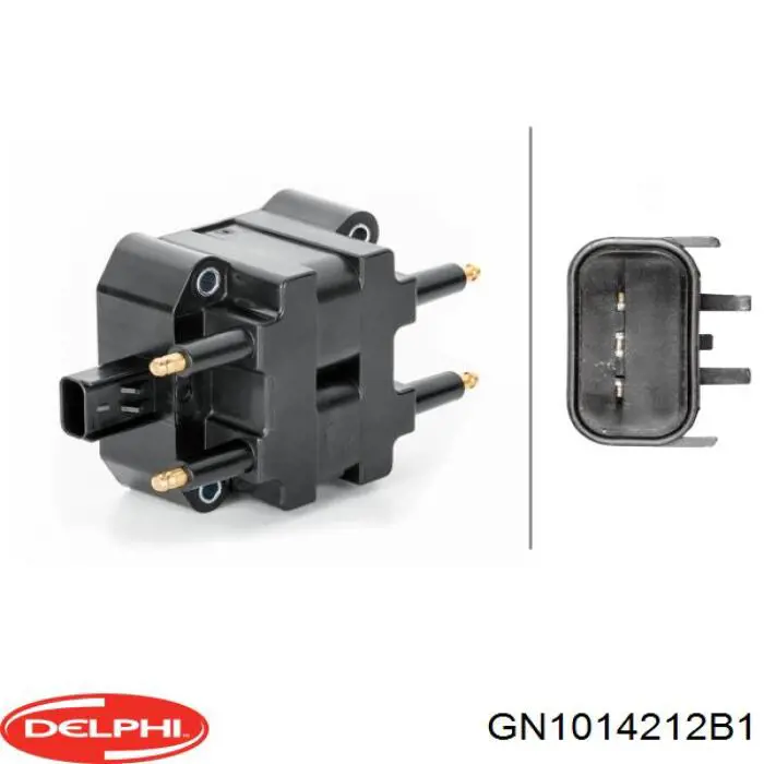 Compre GN1014212B1 Delphi Bobina de ignição