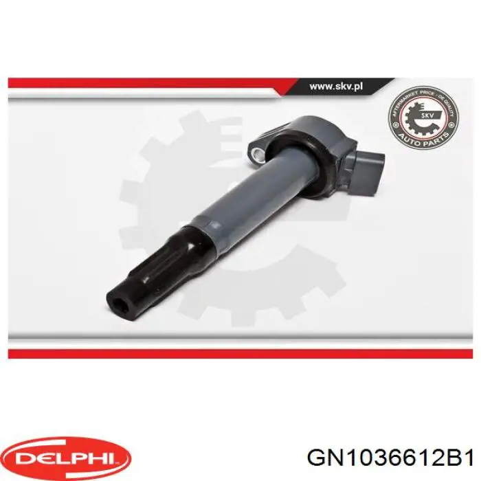 Compre GN1036612B1 Delphi Bobina de ignição