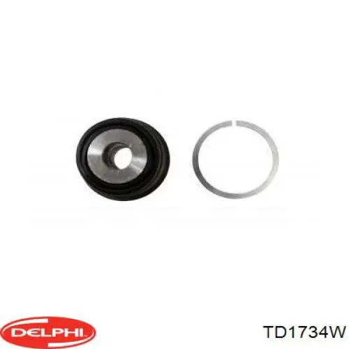 Compre TD1734W Delphi Bloco silencioso dianteiro do braço oscilante inferior