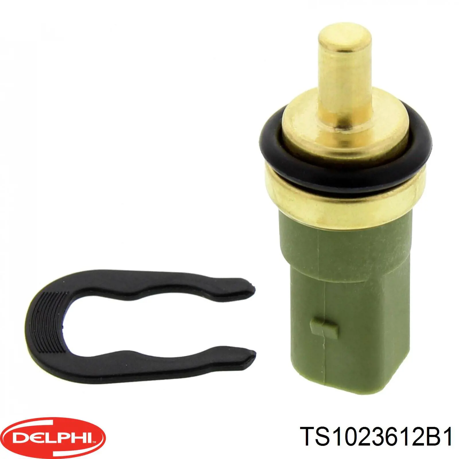 Compre TS1023612B1 Delphi Sensor de temperatura do fluido de esfriamento