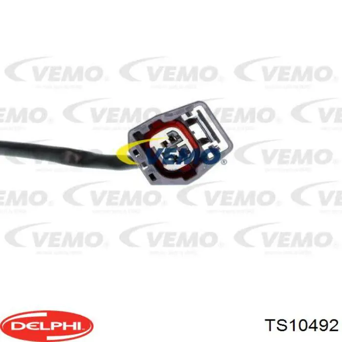 TS10492 Delphi Sensor de temperatura do fluido de esfriamento