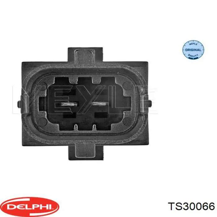 Compre TS30066 Delphi Sensor de temperatura dos gases de escape (GE), no catalisador