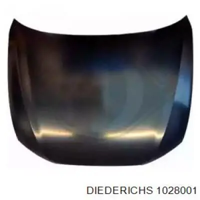 1028001 Diederichs Capota