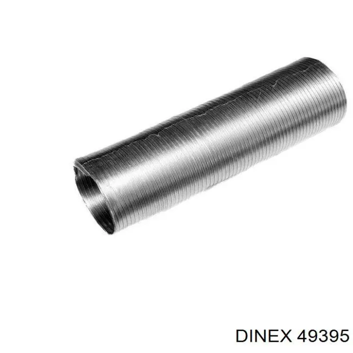 49395 Dinex 