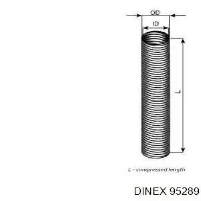 95289 Dinex 