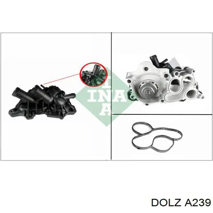 Bomba de água (bomba) de esfriamento Dolz A239 preço, a partir de 155,16 USD