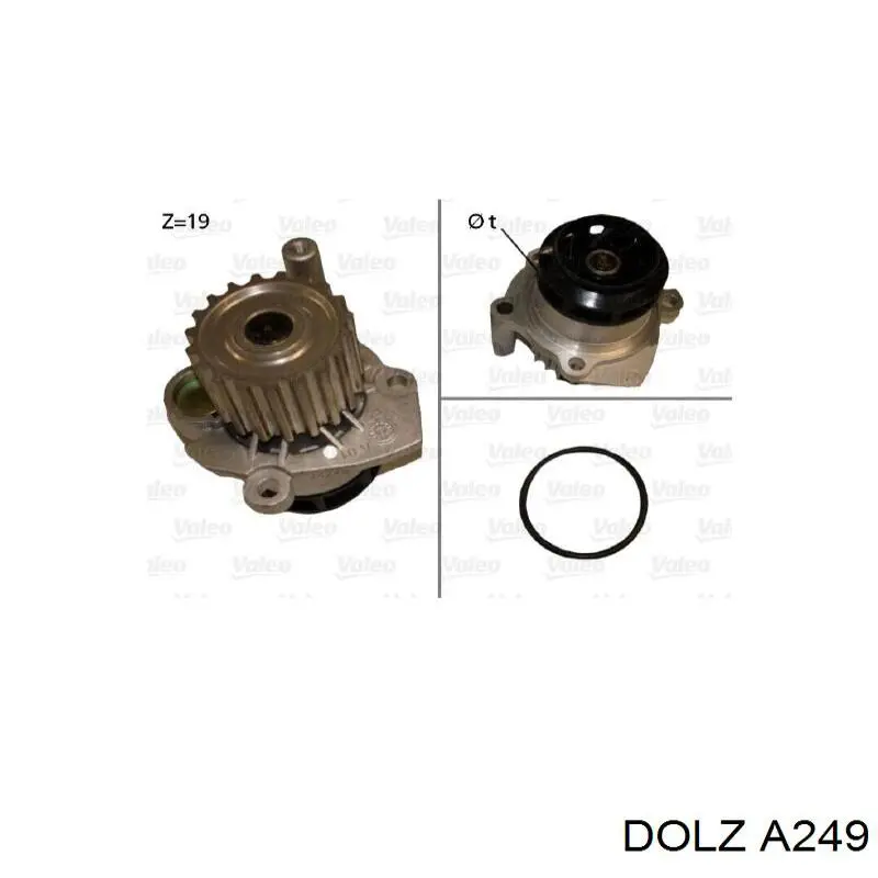 Compre A249 Dolz Bomba de água (bomba) de esfriamento
