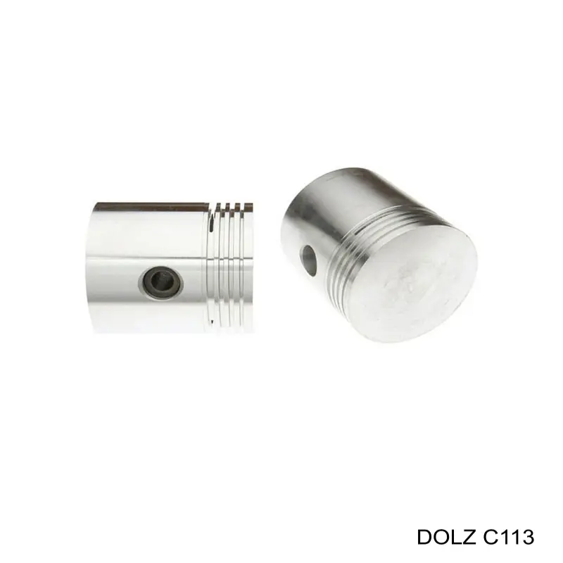 Compre C113 Dolz Bomba de água (bomba) de esfriamento