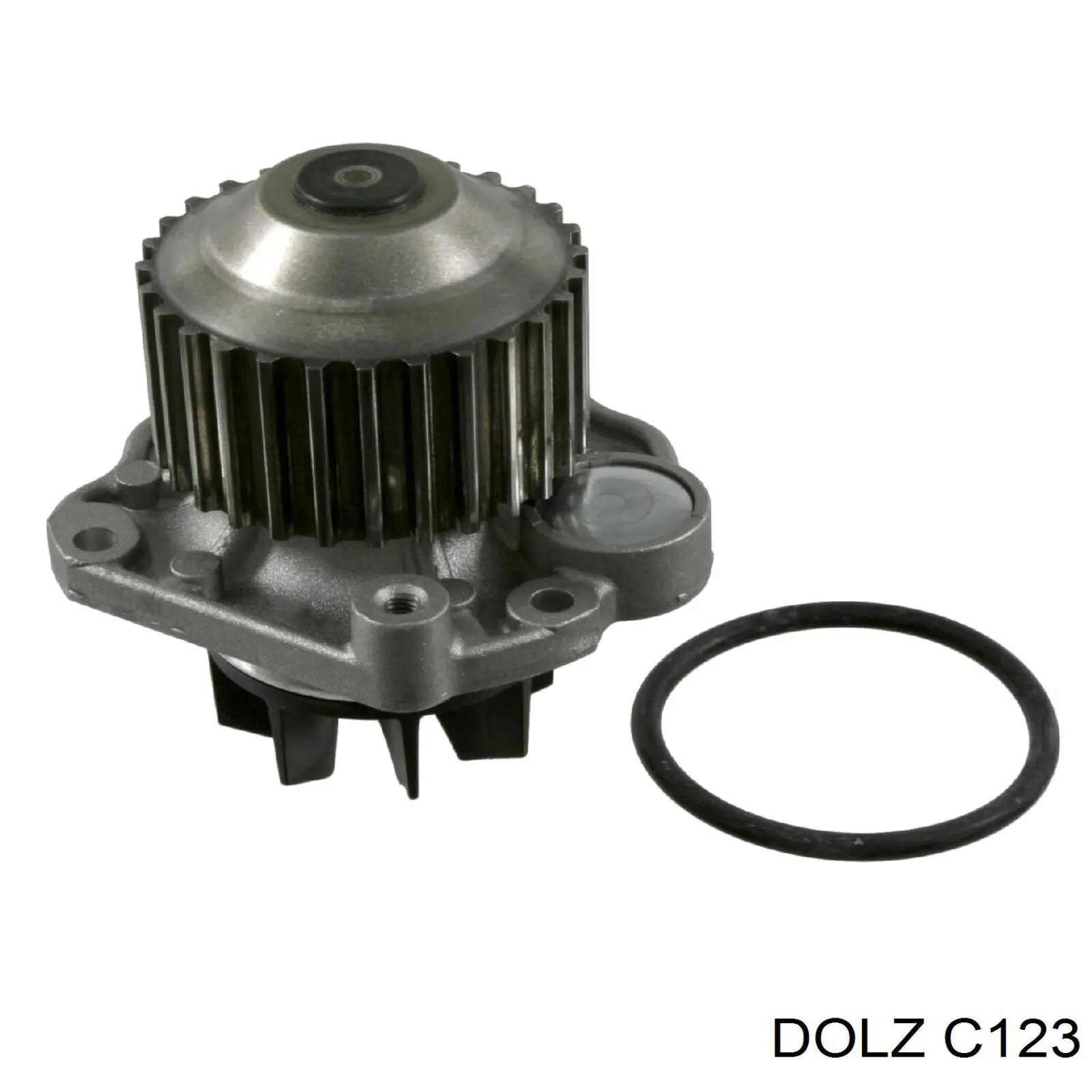 Compre C123 Dolz Bomba de água (bomba) de esfriamento