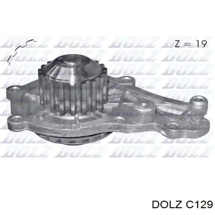 C129 Dolz Bomba de água (bomba) de esfriamento