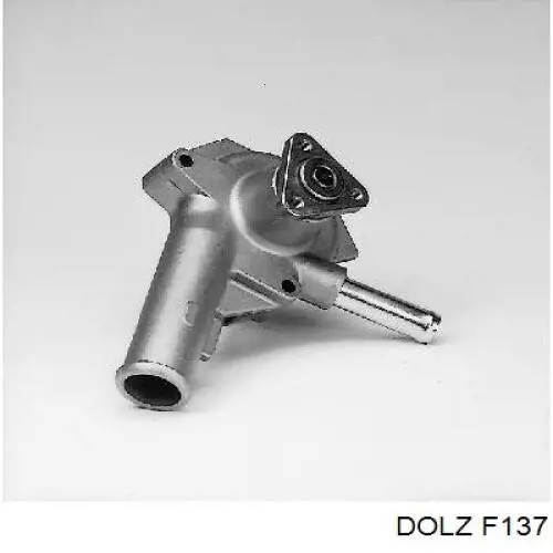 Compre F137 Dolz Bomba de água (bomba) de esfriamento