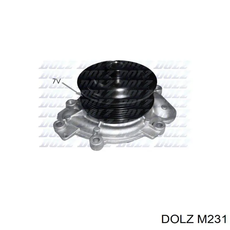 Compre M231 Dolz Bomba de água (bomba) de esfriamento