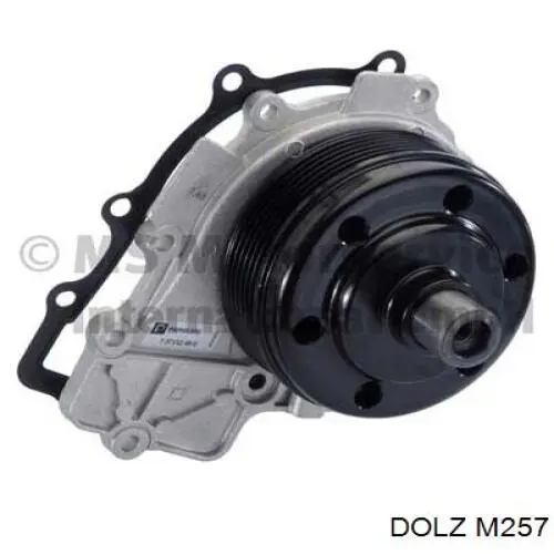 Bomba de água (bomba) de esfriamento Dolz M257 preço, a partir de 109,40 USD
