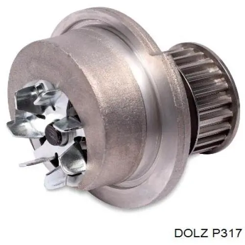 Bomba de água (bomba) de esfriamento P317 Dolz