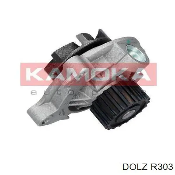 Compre R303 Dolz Bomba de água (bomba) de esfriamento