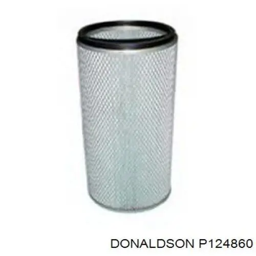 P124860 Donaldson Filtro de ar