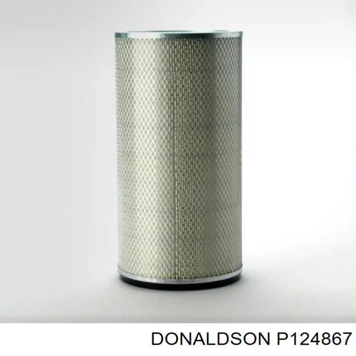 Compre P124867 Donaldson Filtro de ar