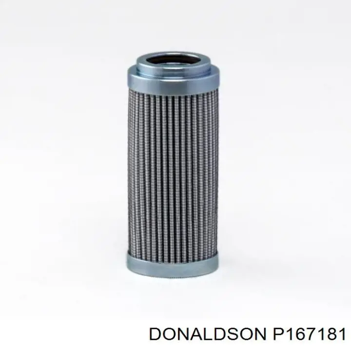 P167181 Donaldson 