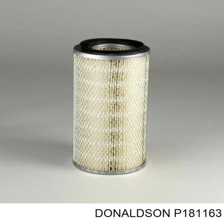 Filtro de salão Donaldson P181163 preço, a partir de 15,71 USD