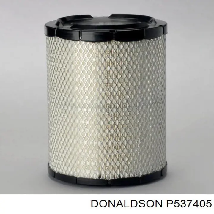 P537405 Donaldson Filtro de ar