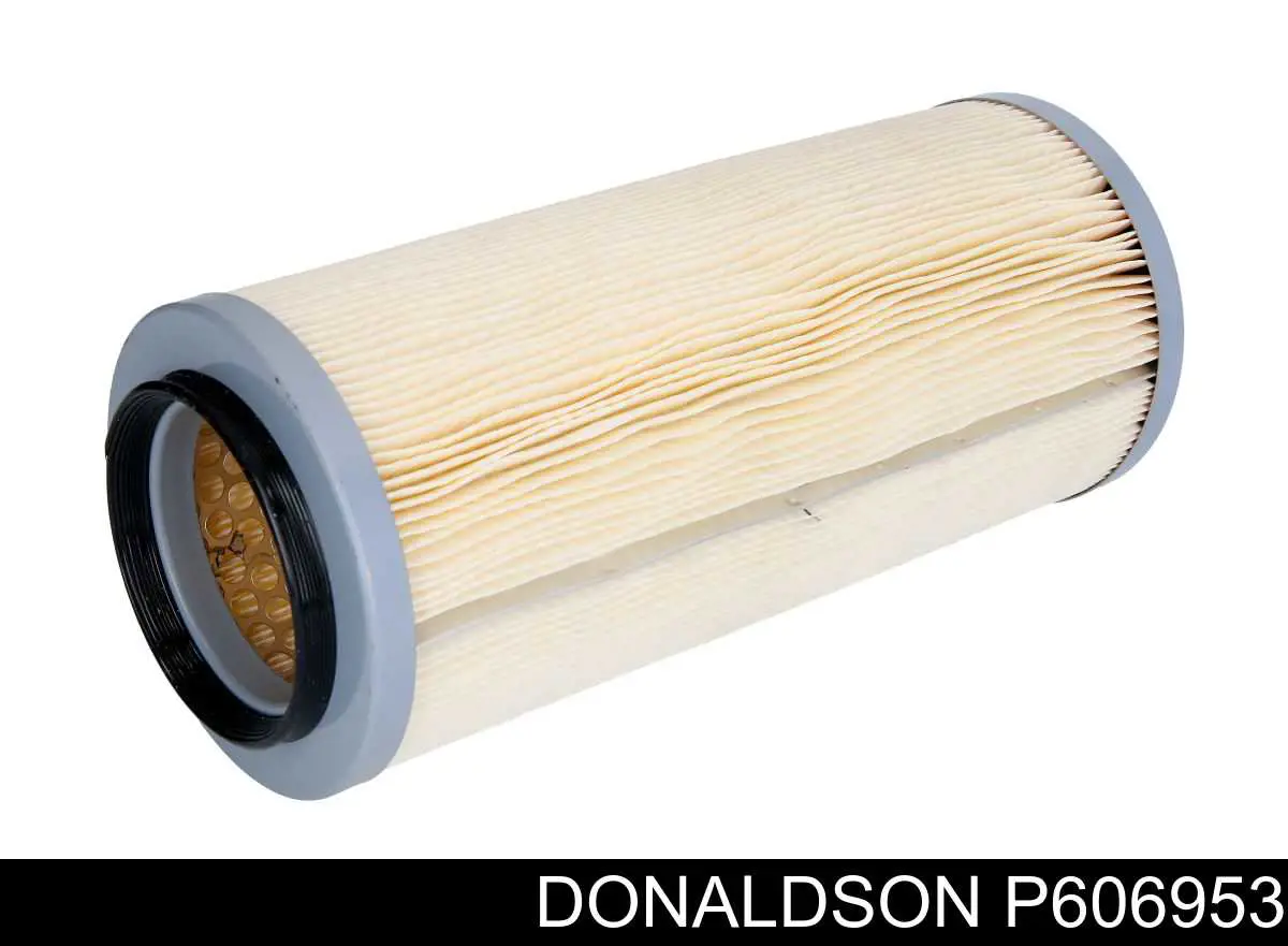 P606953 Donaldson Filtro de ar