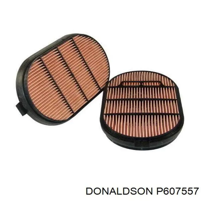 Filtro de ar de bomba de fornecimento de ar secundário Donaldson P607557 preço, a partir de 41,82 USD