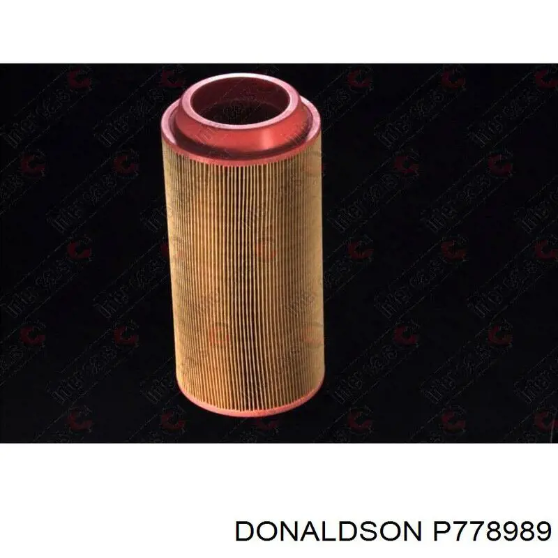 P778989 Donaldson Filtro de ar