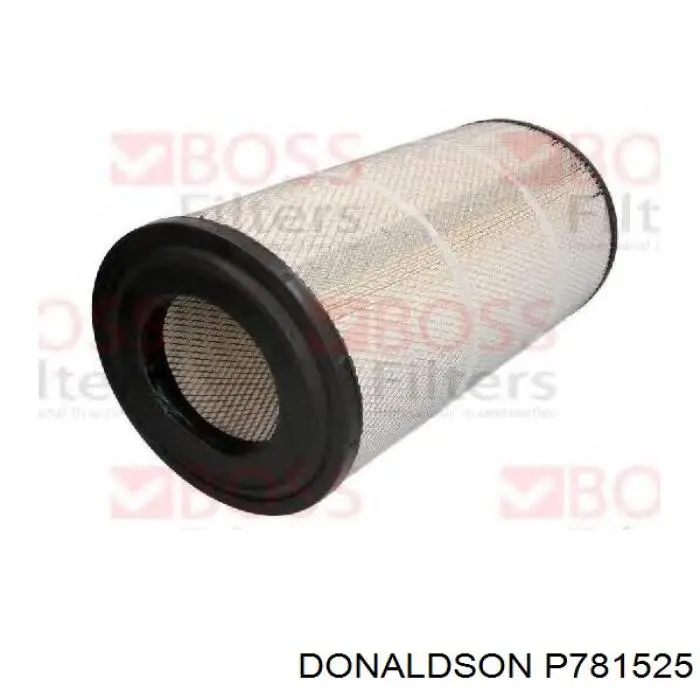 P781525 Donaldson Filtro de ar