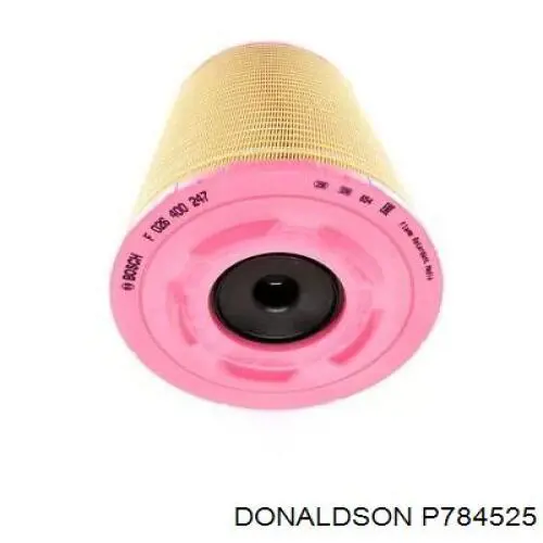 P784525 Donaldson Filtro de ar