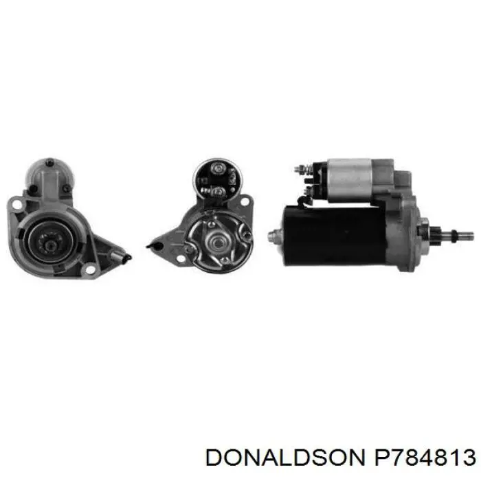 P784813 Donaldson Filtro de ar