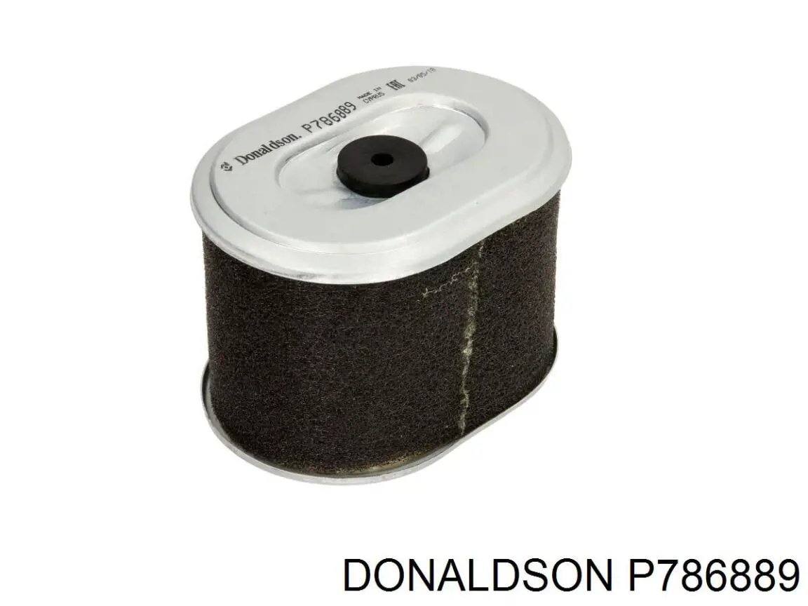 P786889 Donaldson Filtro de ar