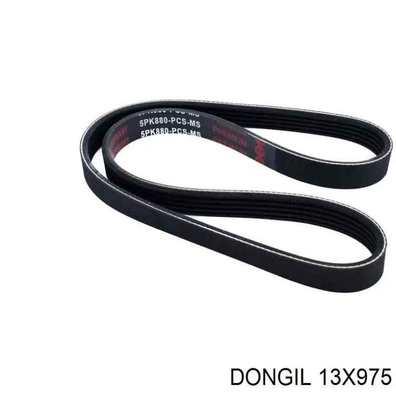 Compre 13X975 Dongil Correia dos conjuntos de transmissão
