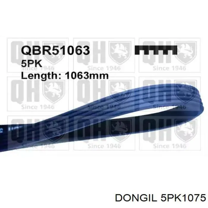 Compre 5PK1075 Dongil Correia dos conjuntos de transmissão