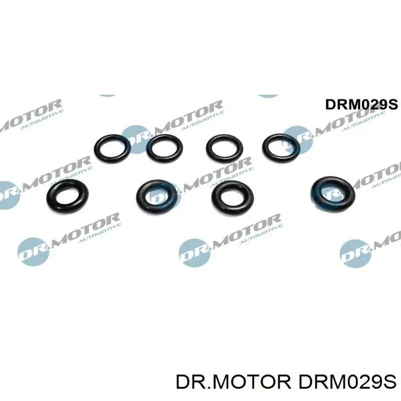 DRM029S Dr.motor Kit de reparação do injetor