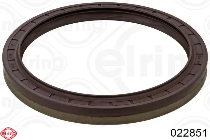 Bucim de cubo traseiro Elring 022851 preço, a partir de 36,32 USD