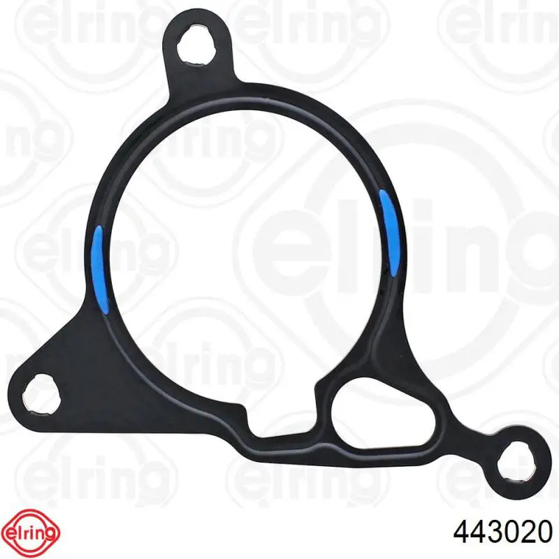 Compre 443020 Elring Vedante de bomba de tandem