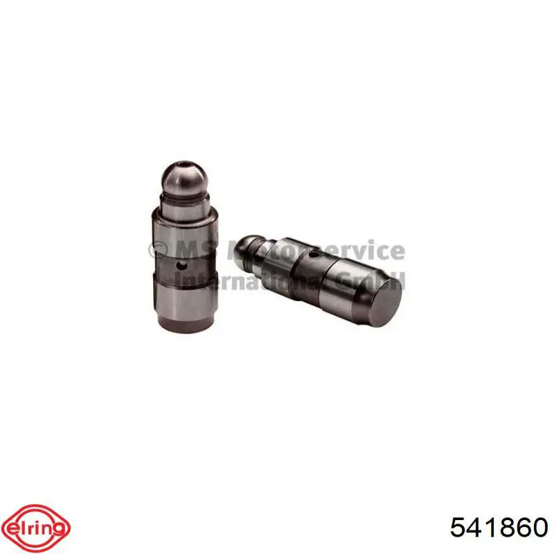 541860 Elring Vedante de cabeça de motor (CBC)