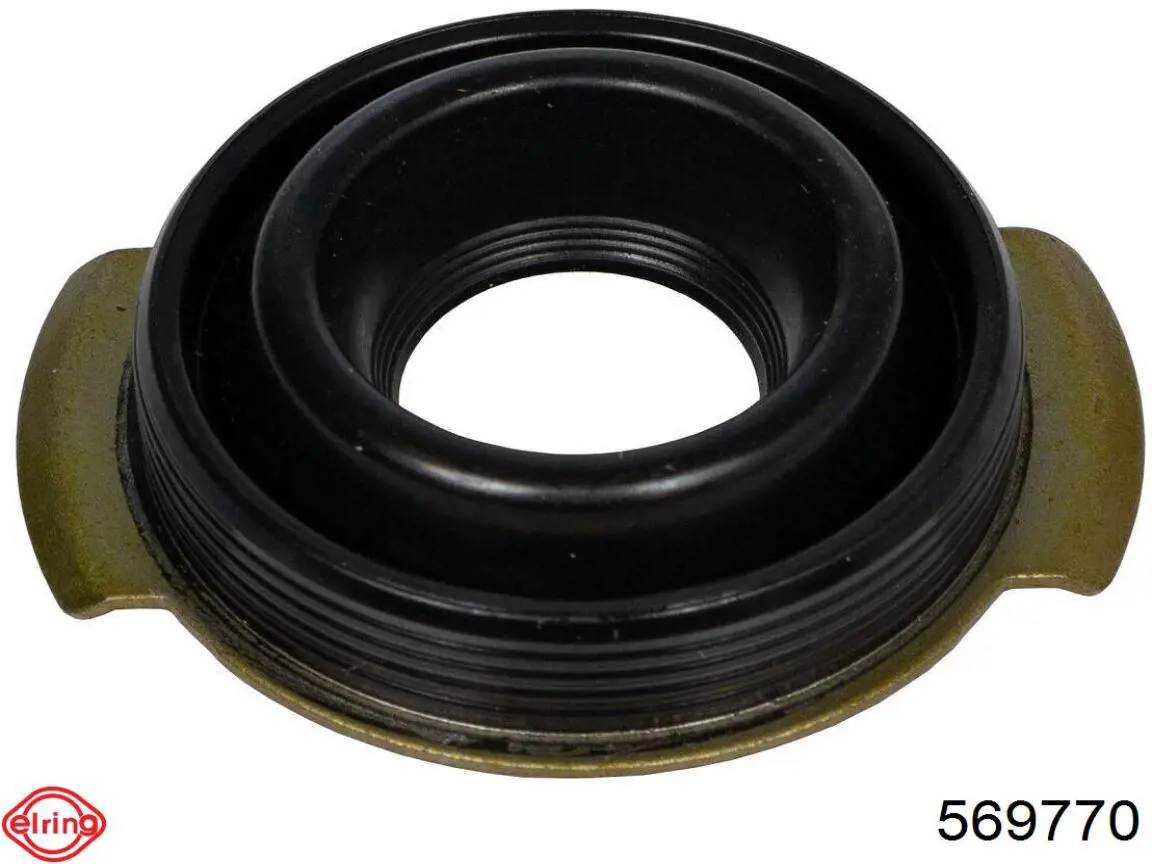 Compre 569770 Elring Vedante anular da cavidade de vela