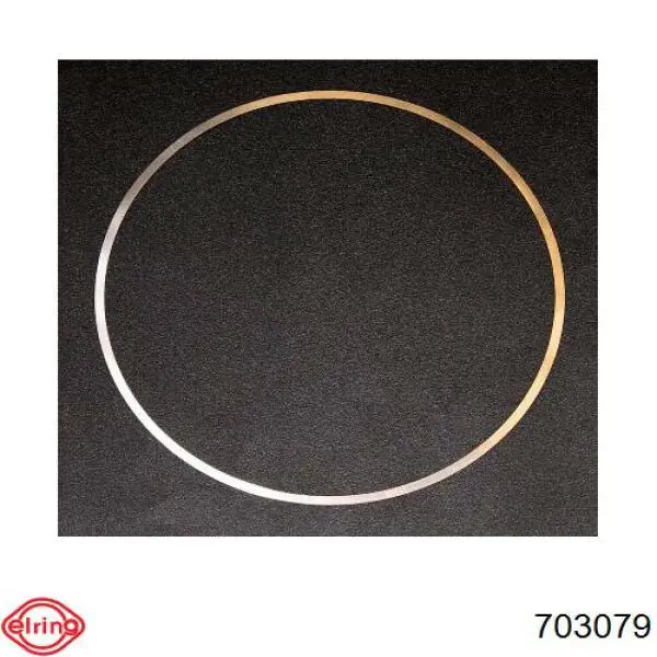703079 Elring Vedante anular para a camisa de motor