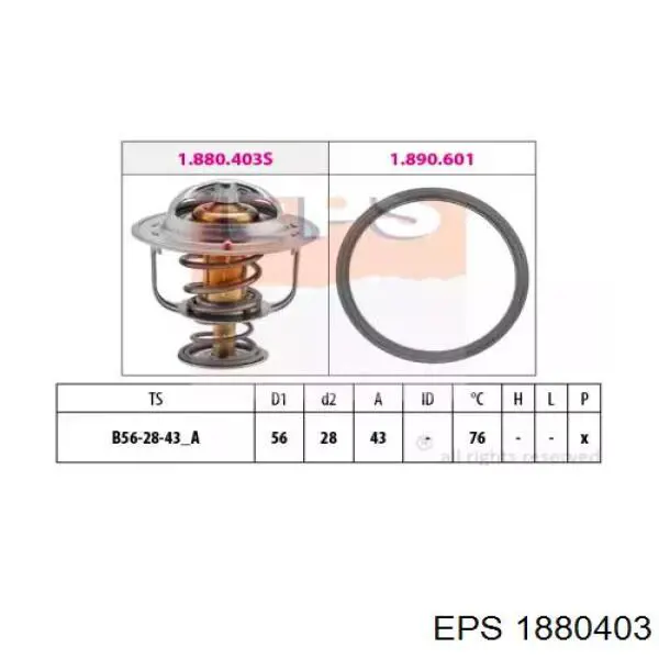 Compre 135894RC Fitshi Termostato