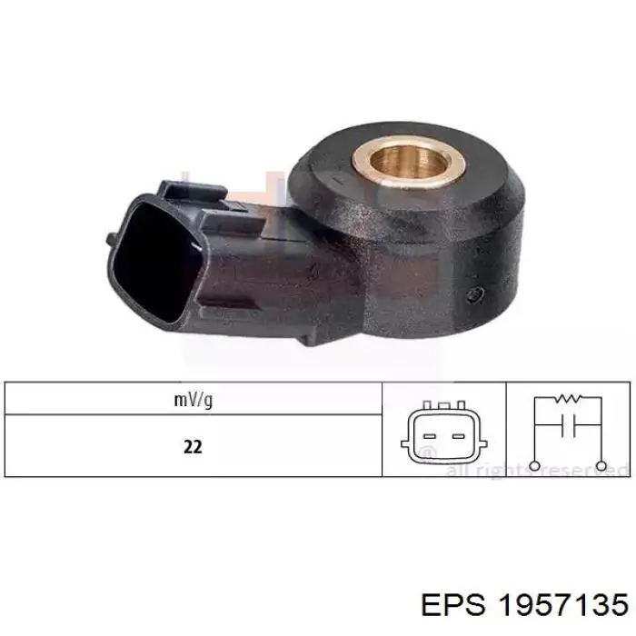 Sensor de detonação 183855 Market (OEM)